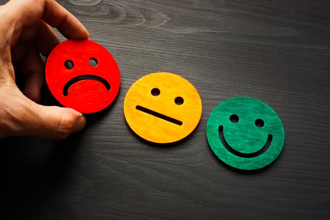 customer reviews