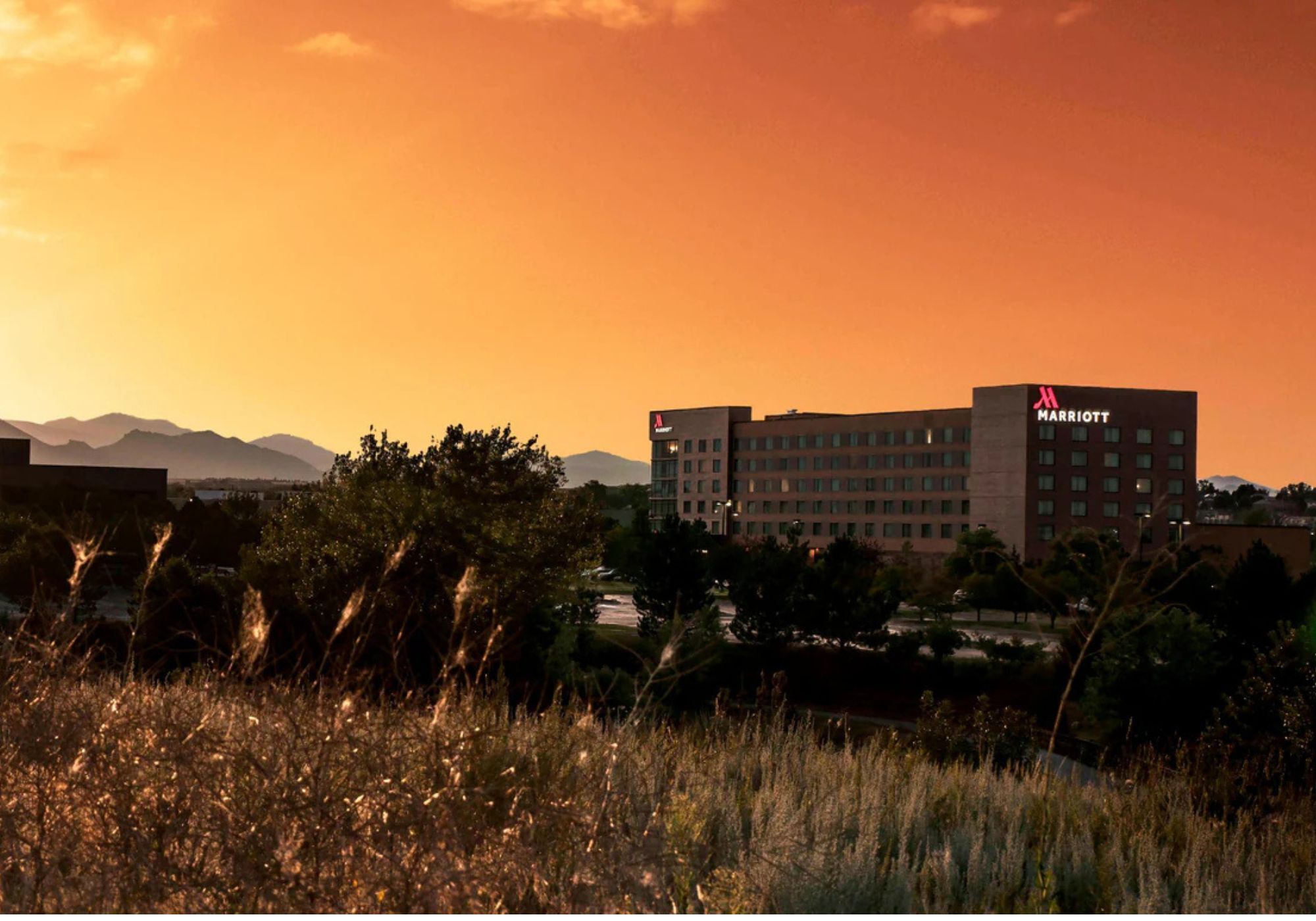 04.28.26 (2000 x 1400 px) (1)