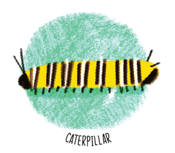 Caterpillar